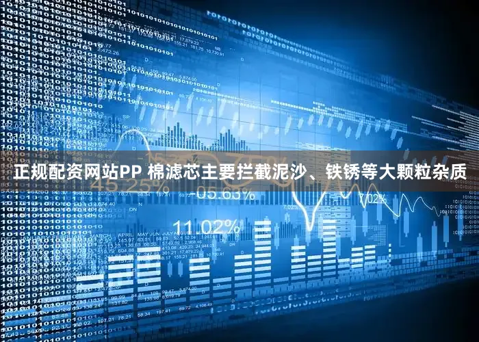 正规配资网站PP 棉滤芯主要拦截泥沙、铁锈等大颗粒杂质