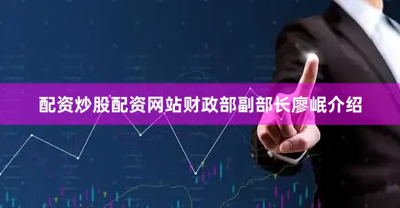 配资炒股配资网站财政部副部长廖岷介绍