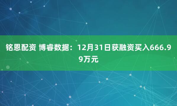 铭恩配资 博睿数据：12月31日获融资买入666.99万元